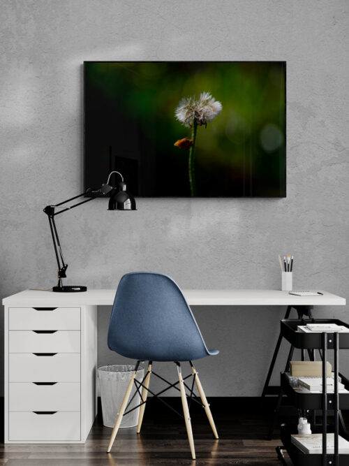 סביון להדפסה על קנבס