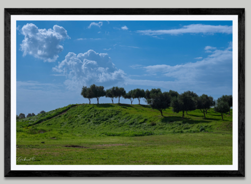 צילום נוף להדפסה על קנבס