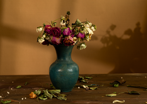 יופי מתפוגג